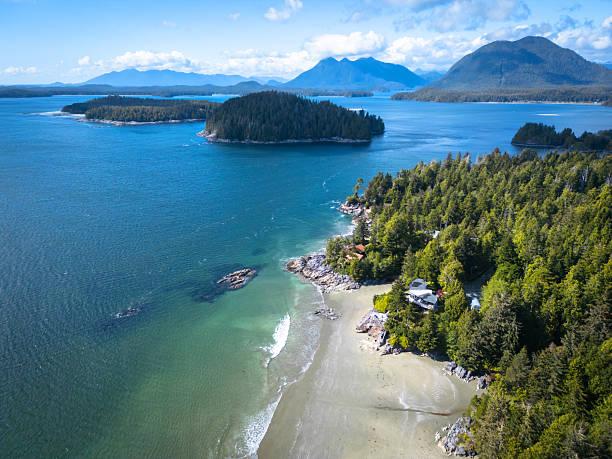 Tofino